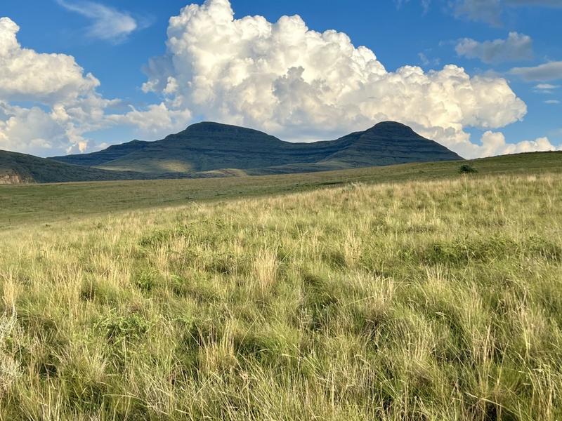 0 Bedroom Property for Sale in Fouriesburg Free State